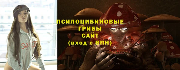 МДПВ Армянск