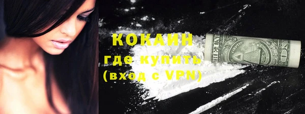 стаф Аркадак
