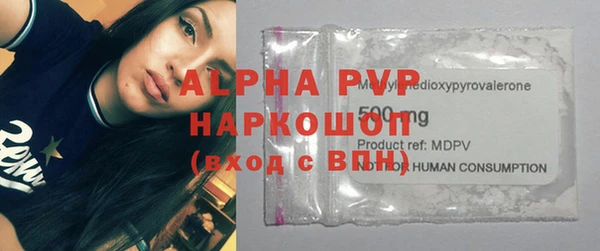стаф Аркадак