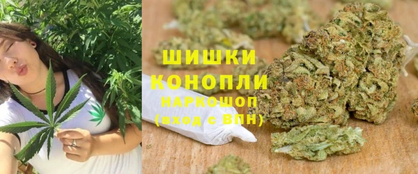 стаф Аркадак