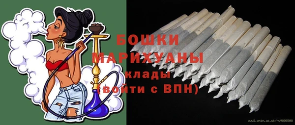 стаф Аркадак